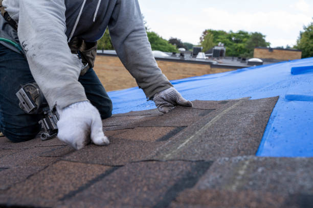 Best Roof Waterproofing Services  in Oconto, WI